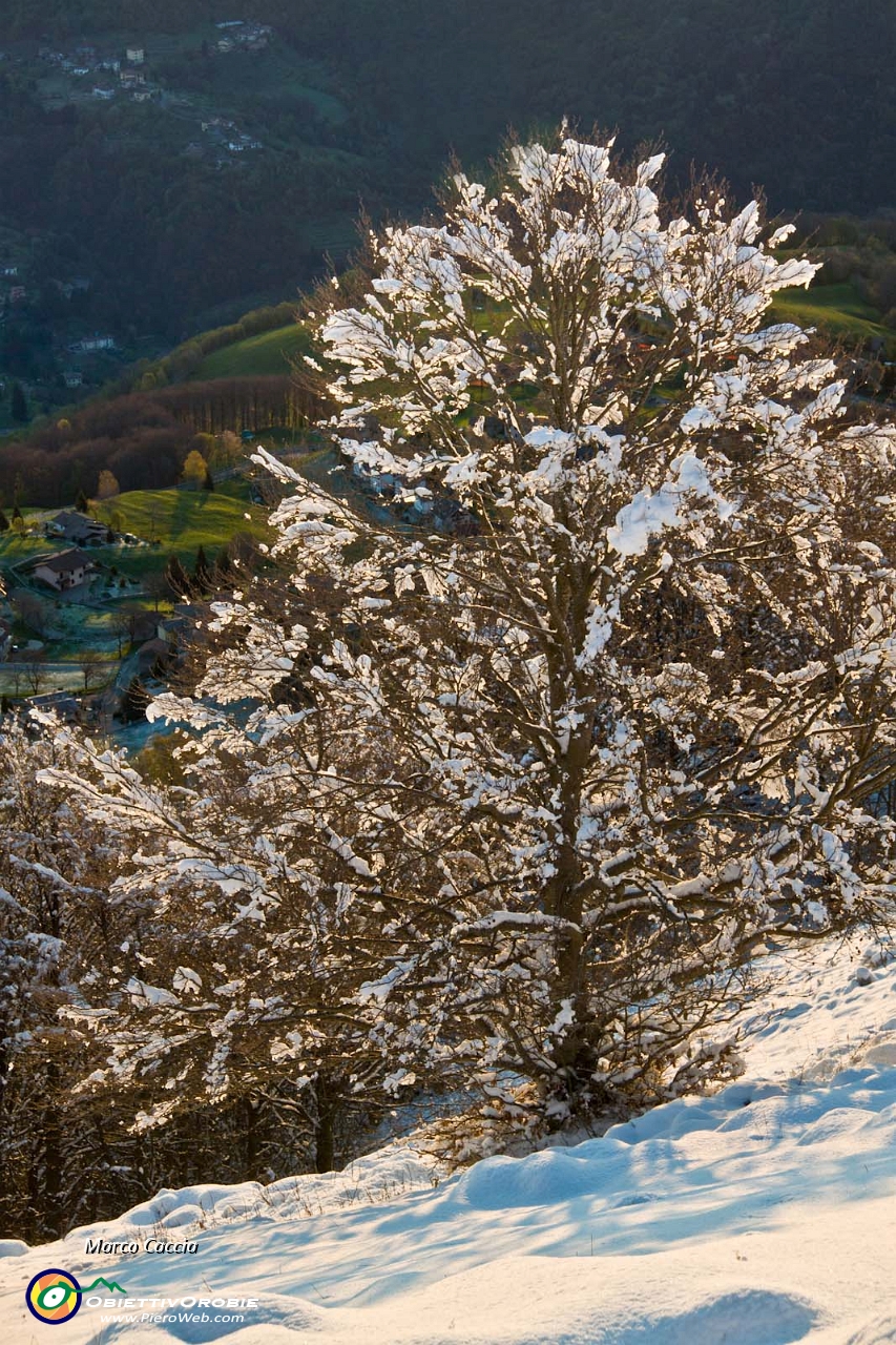 Alba nevosa dal Linzone-12.JPG